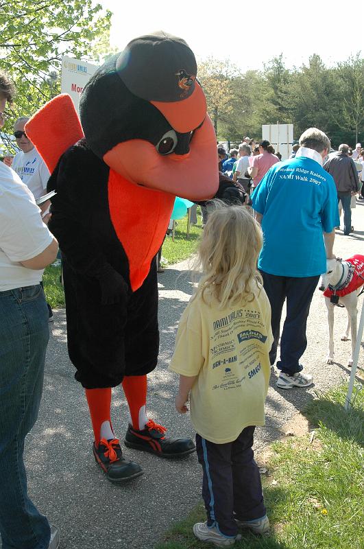 NAMIWalk07 (97) 